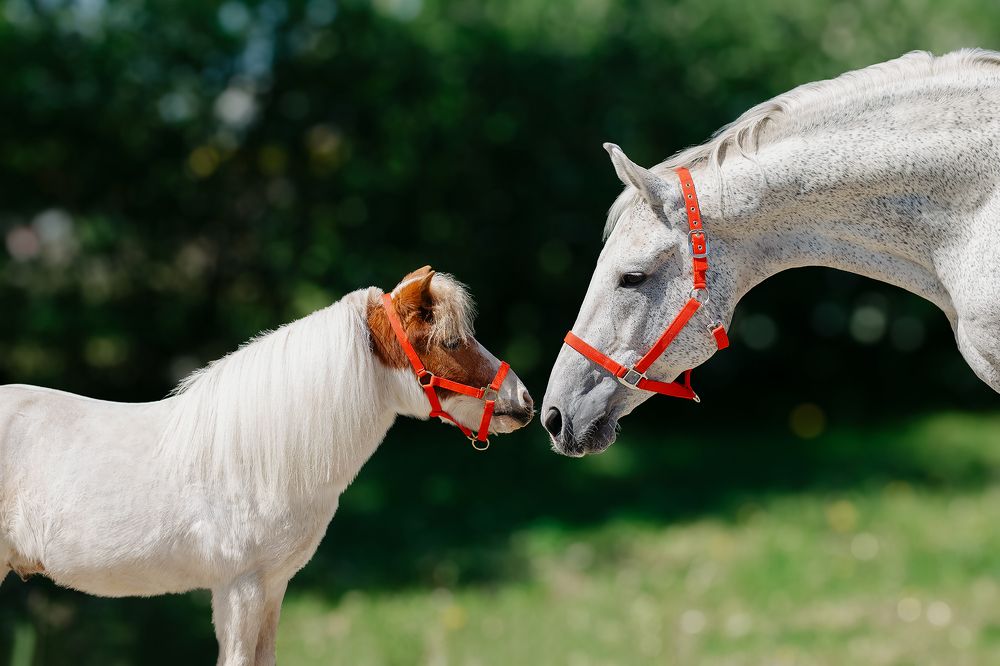 Photograph by Полина Фрольцова