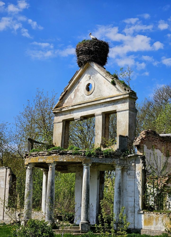 Photograph by Наталья Пагоцкая