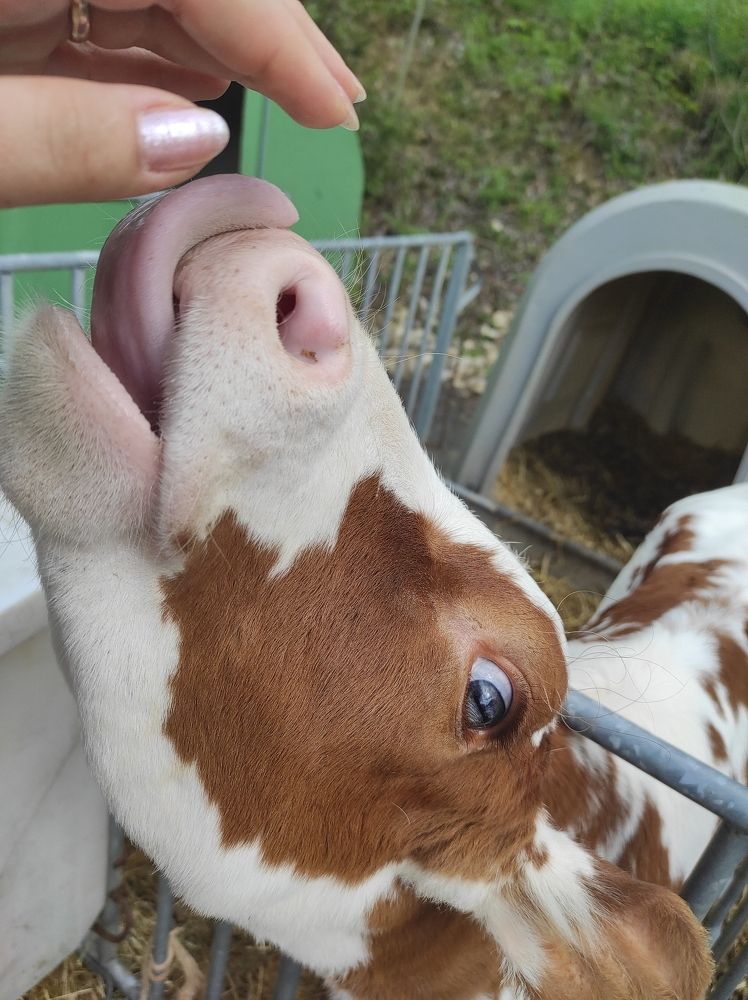 Photograph by Галина Лысых