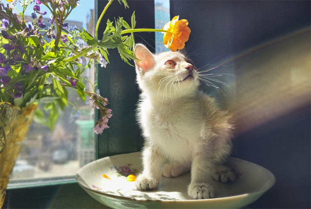 Photograph by Игорь