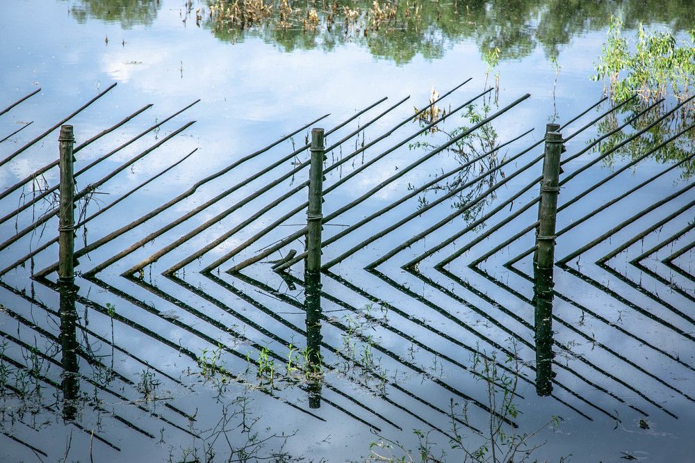 Photograph by Ольга Сафронова