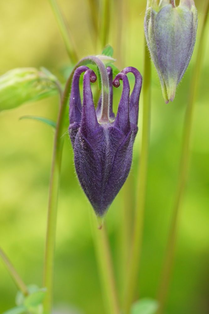 Photograph by Алексей Андреев