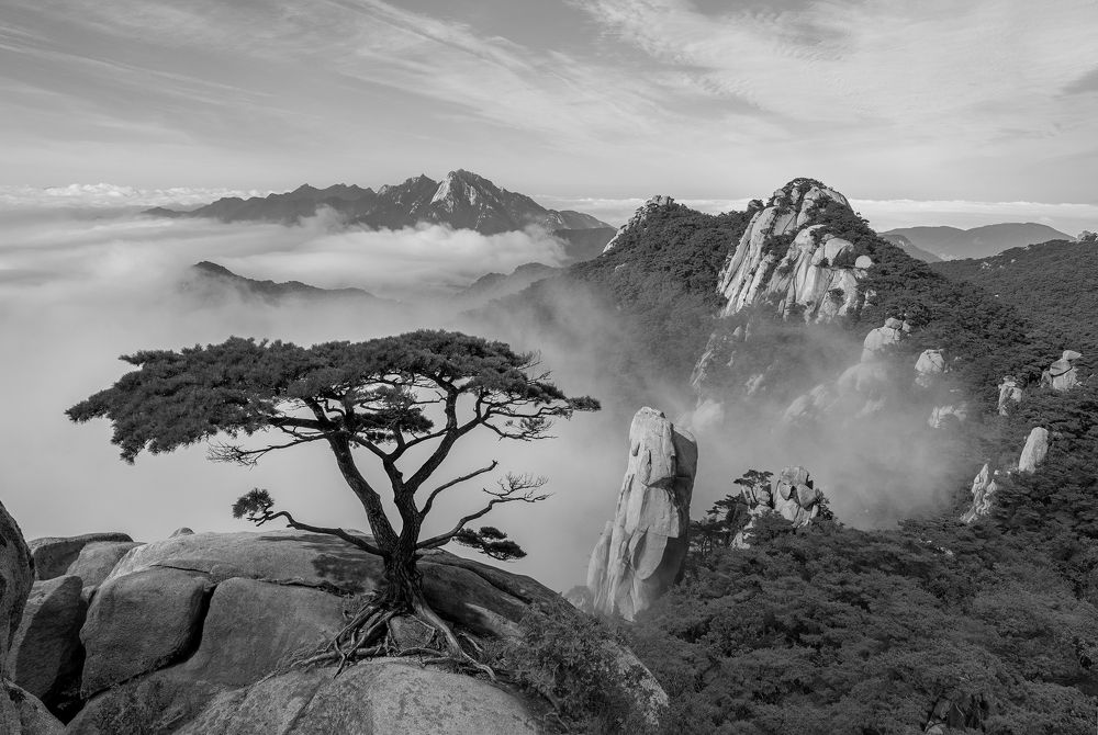 Photograph by Jaeyoun Ryu