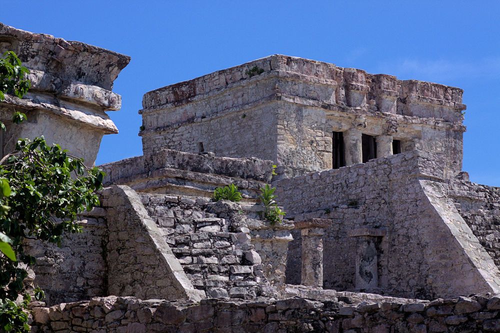 Photograph by A. G. Bisschop