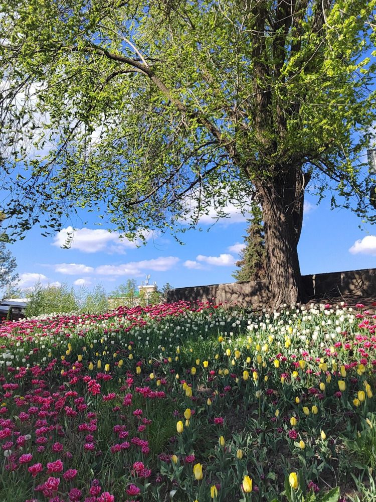 Photograph by Куделенко Оксана