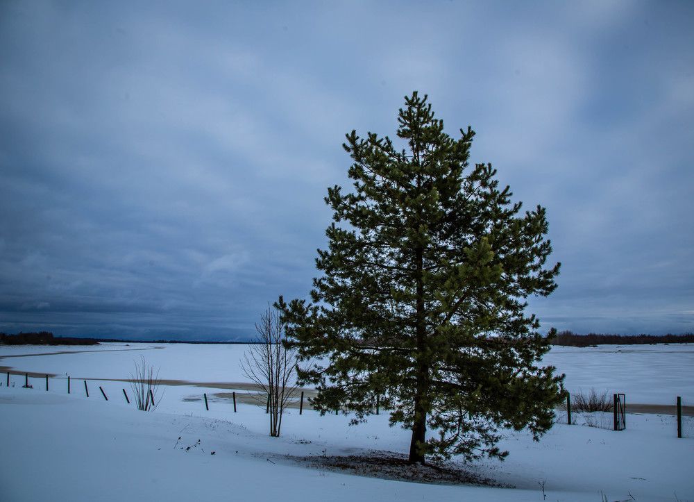 Photograph by Ольга Сафронова