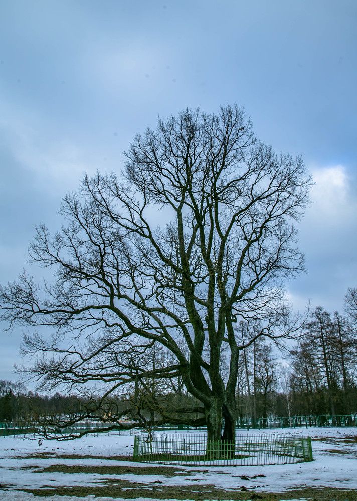 Photograph by Ольга Сафронова