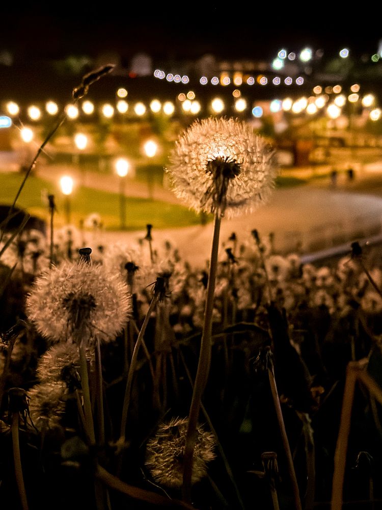 Photograph by Ольга Белопухова