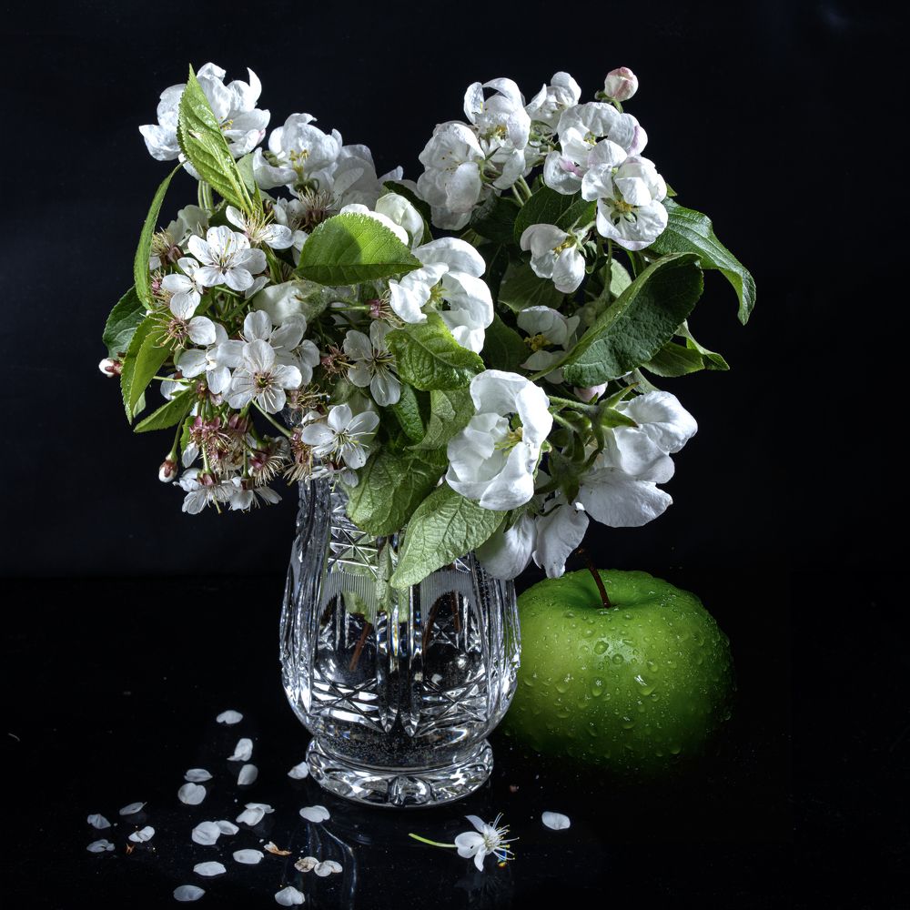 Photograph by Aleksandr Belov