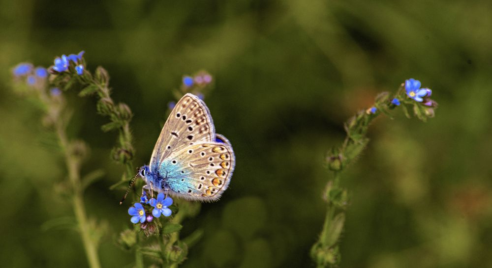Фотография автора Андрей Жданов