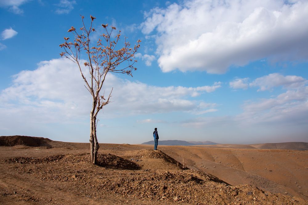 Photograph by Vida Shams