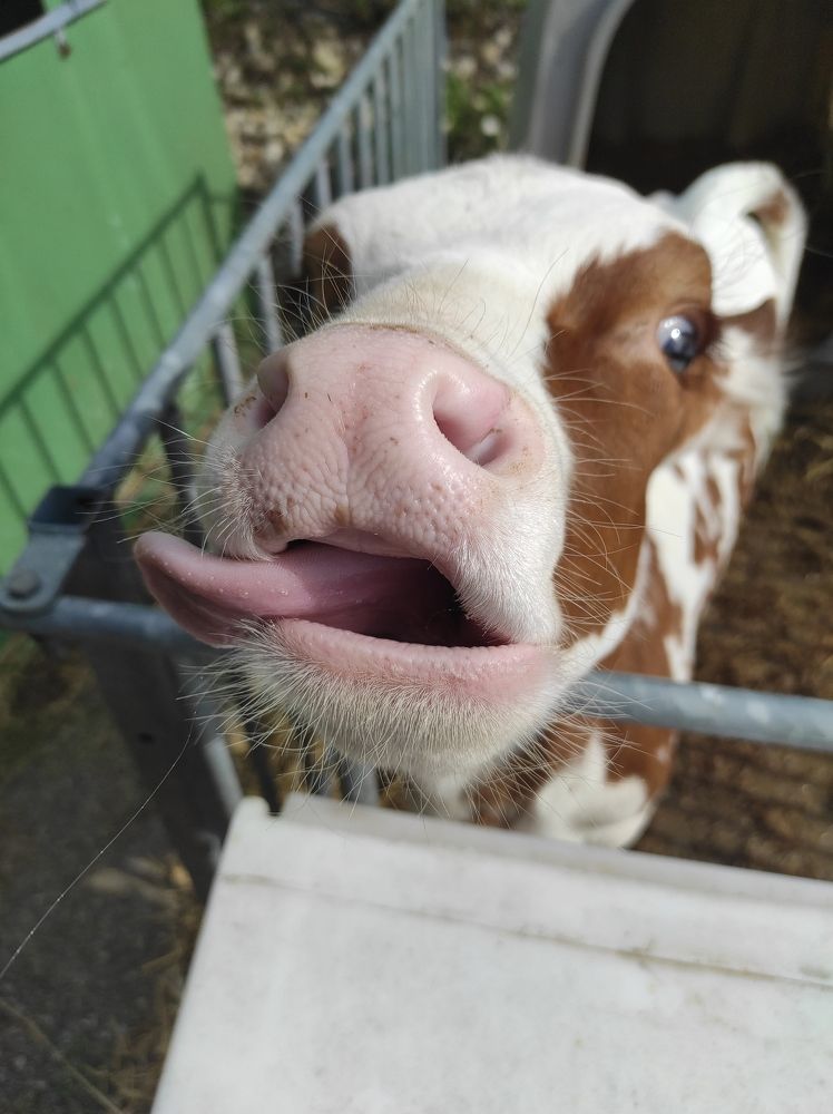 Photograph by Галина Лысых