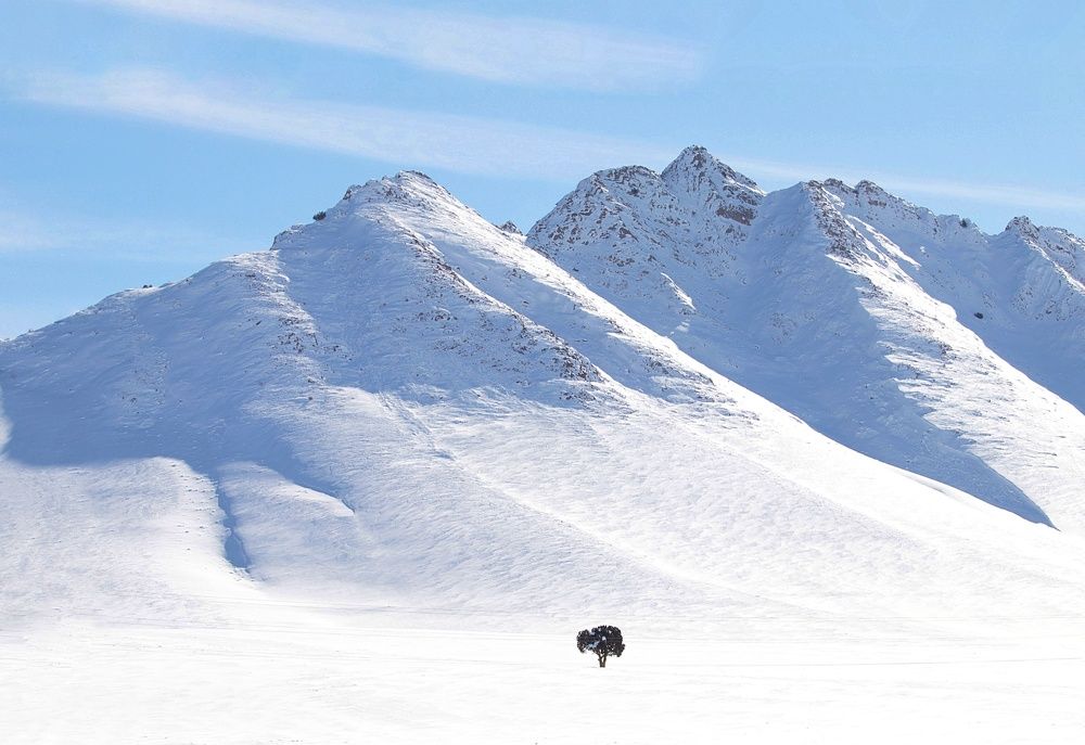 Photograph by Mohammad reza Falah