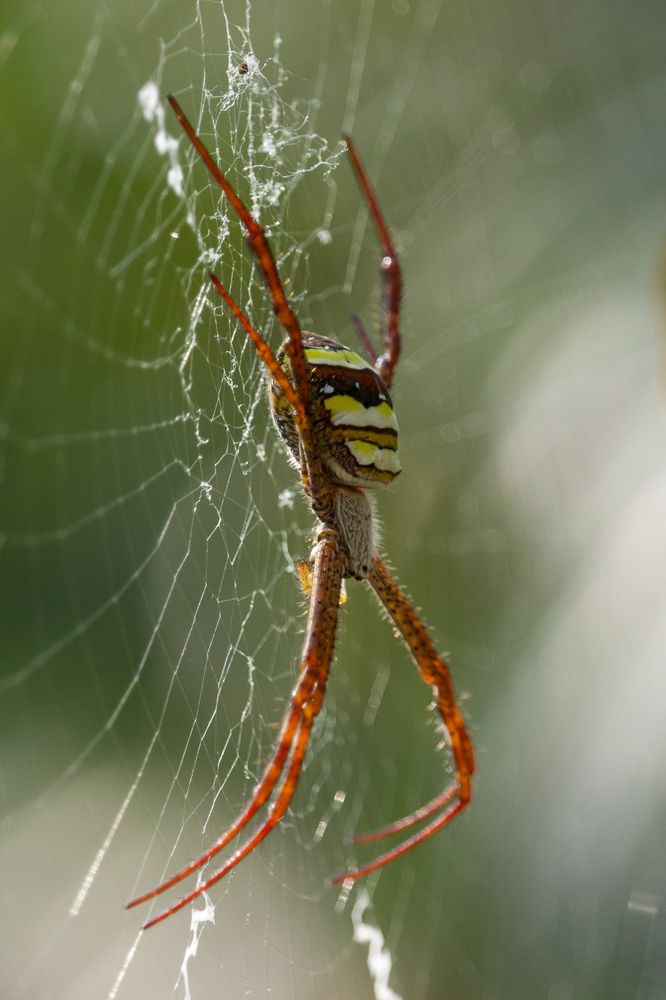 Photograph by Shadab Ishtiyak