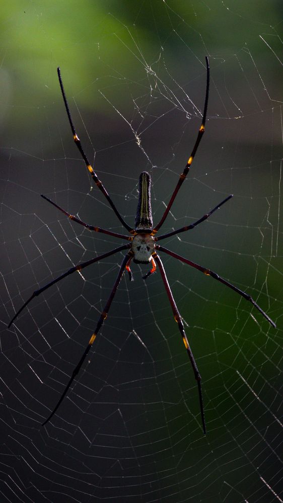 Photograph by Shadab Ishtiyak