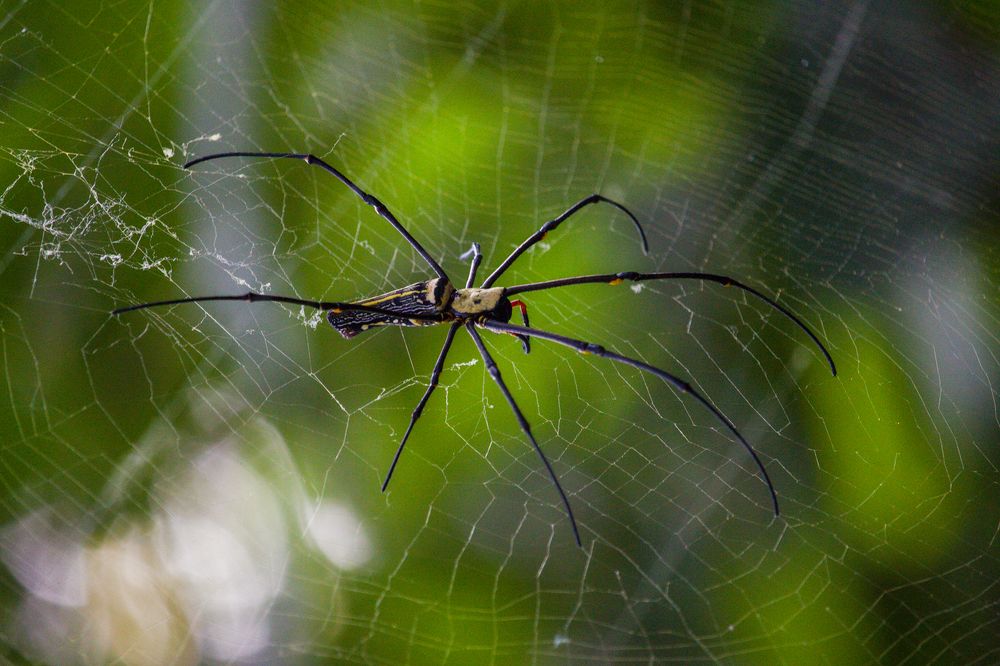 Photograph by Shadab Ishtiyak