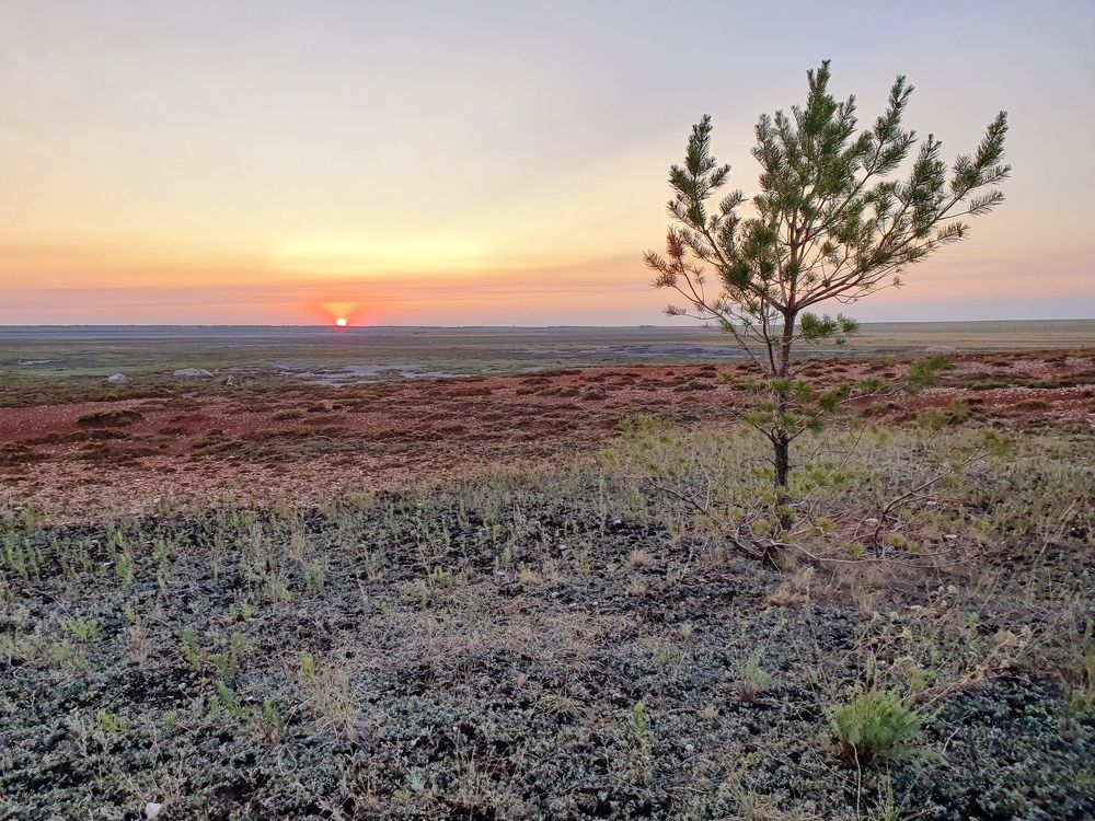 Photograph by Антон Жирнов