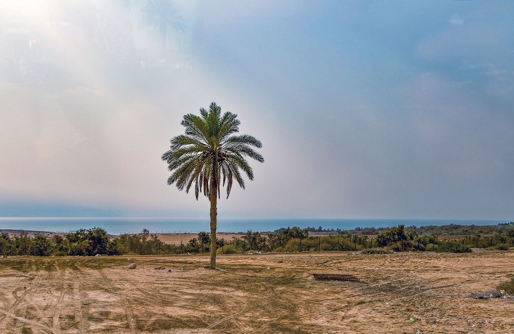 Photograph by Алексей Окунеев