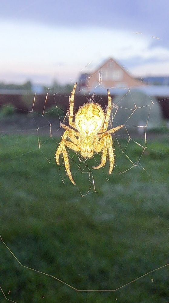 Photograph by Александра