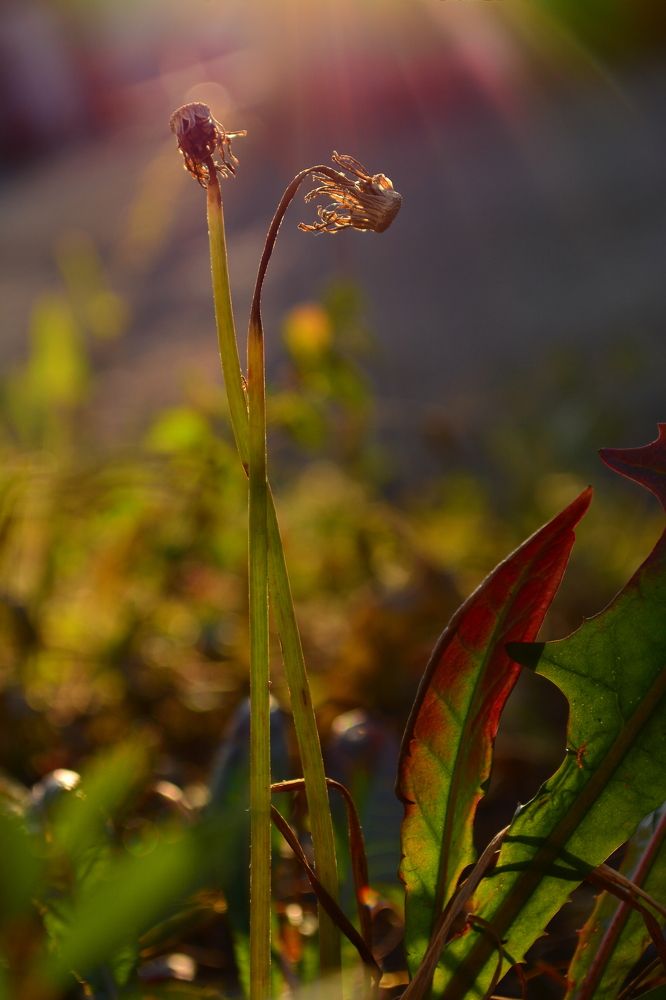 Photograph by Михаил Мехедов