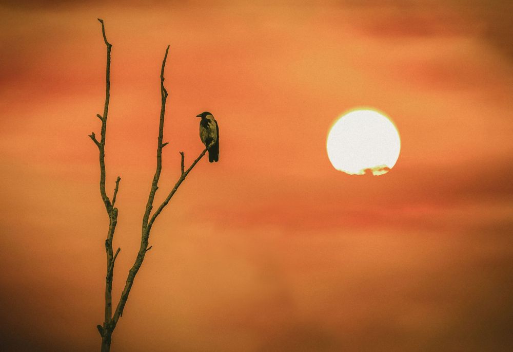 Photograph by Ekaterina Fadeeva