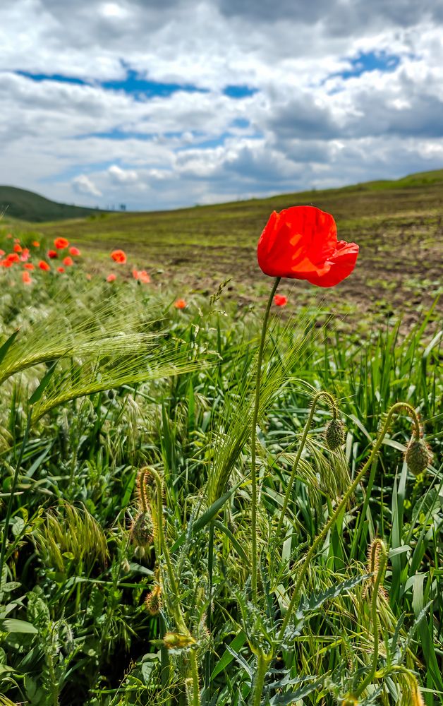 Photograph by Catalin Grădinaru
