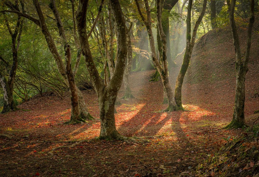 Photograph by HIROTOMO NAKAHARA