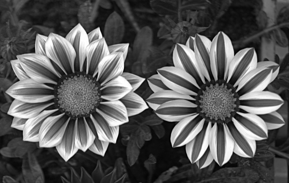 Photograph by Александр Макаренко