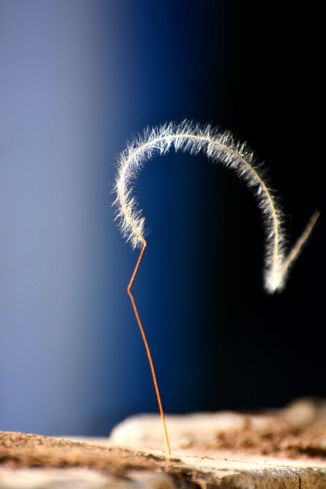 Photograph by Михаил Мехедов