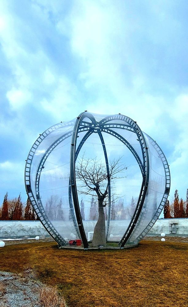 Photograph by Марина Жарикова