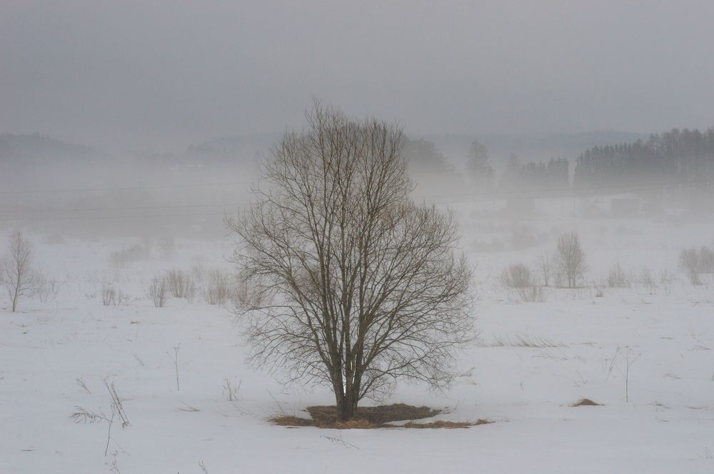 Photograph by Екатерина Казарцева