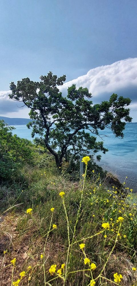Photograph by Марина Жарикова