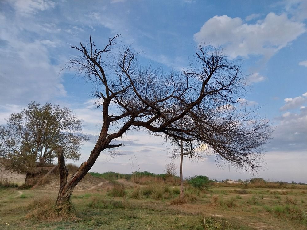 Photograph by Rahul Raman