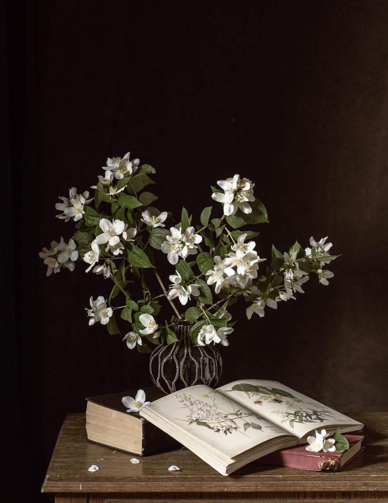 Фотография автора Uljana Kuchar