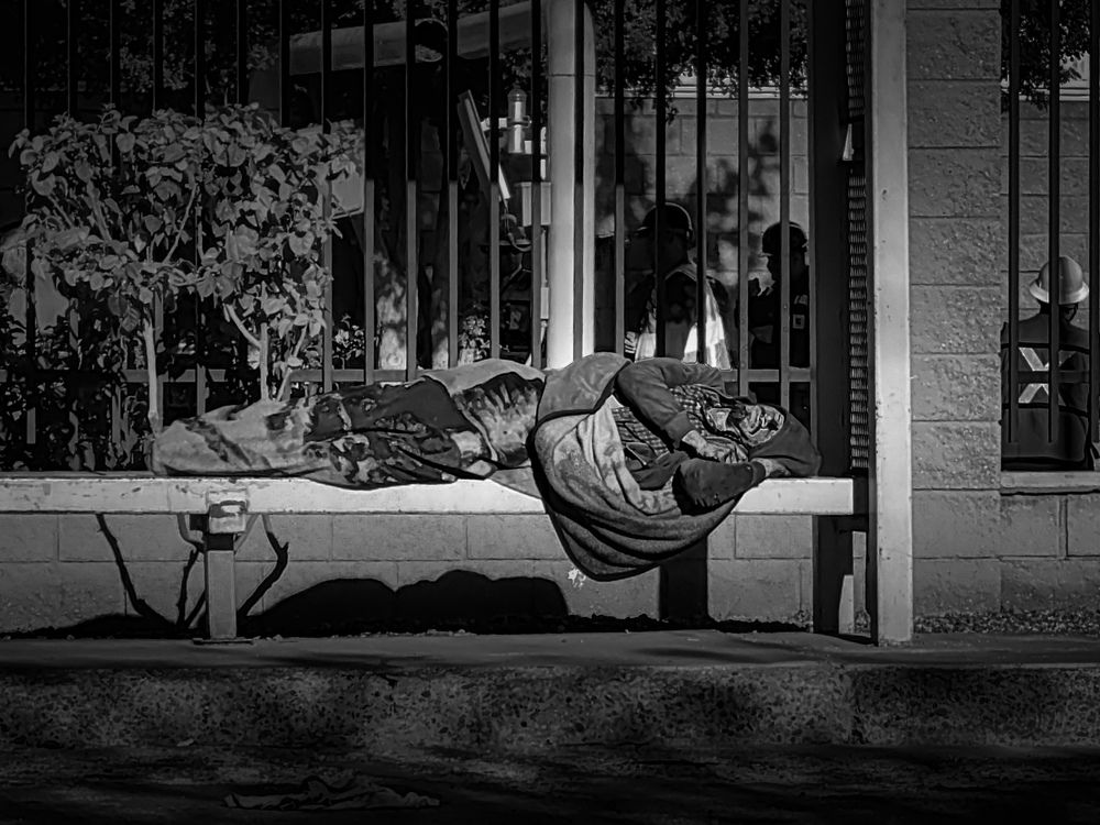 Refugio en la Sombra