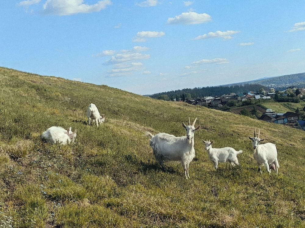 Photograph by Александра Ламанова