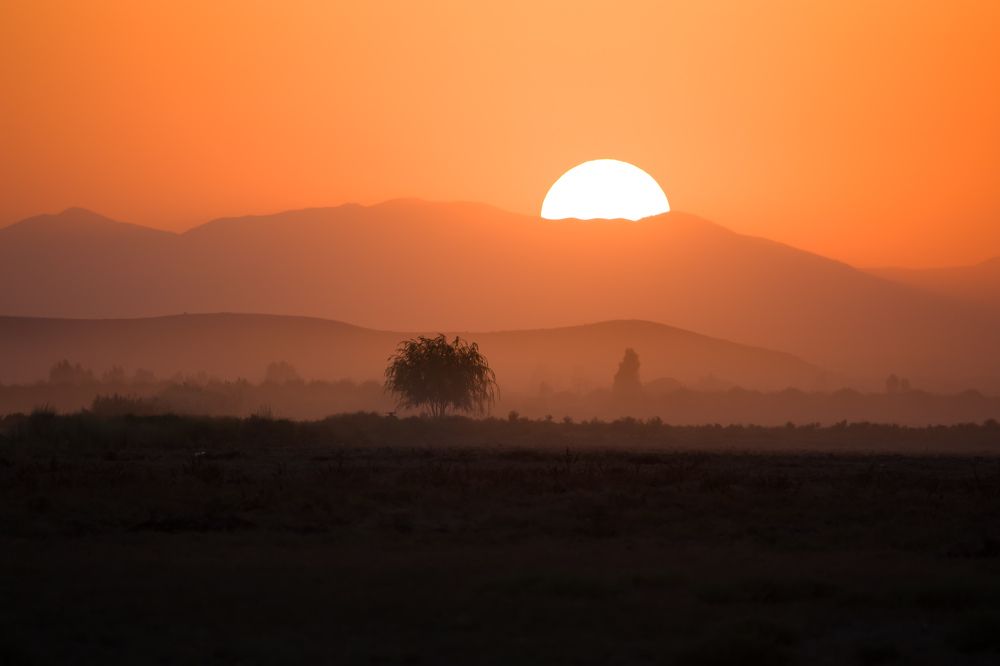 Photograph by Mohammad reza Falah