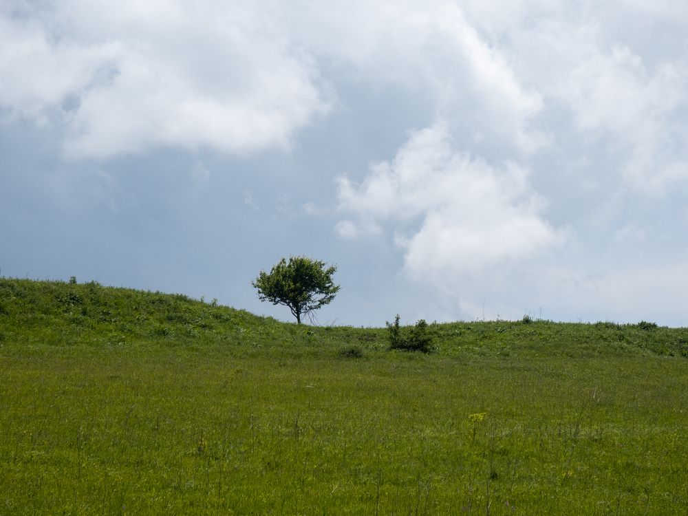 Photograph by Виталий Маслов