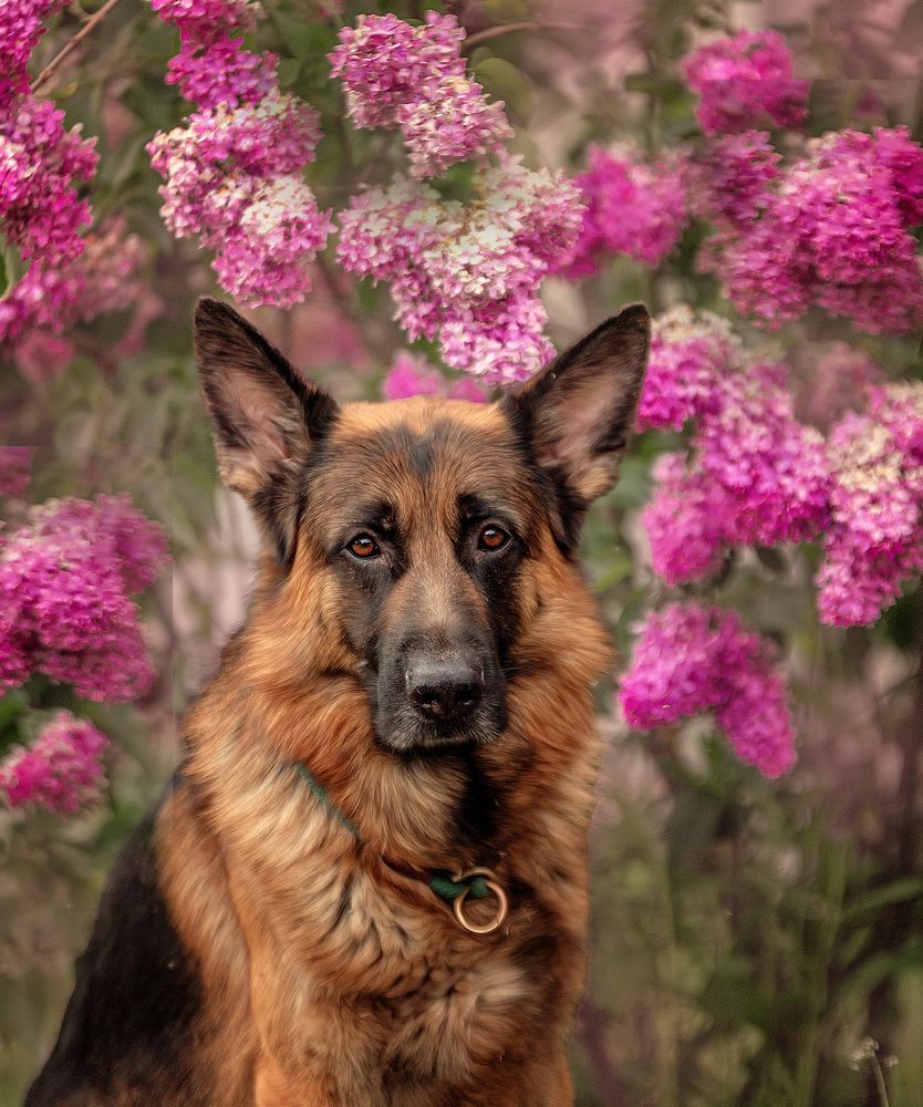 Photograph by Милана Бабченко