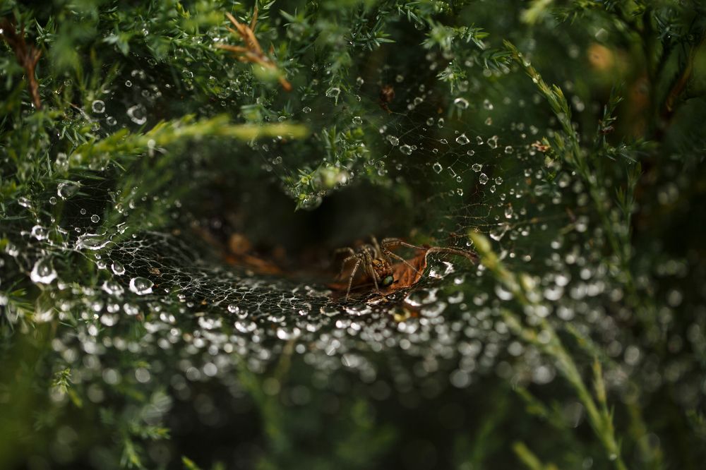 Фотография автора Строкова Екатерина