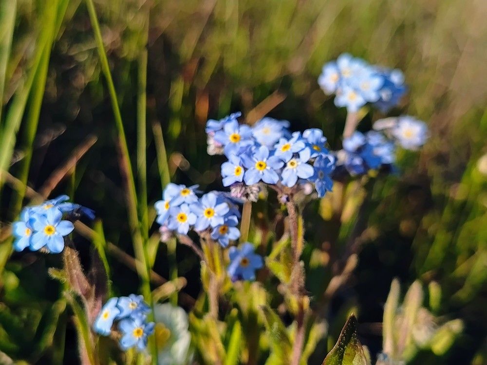 Photograph by Александра Ламанова