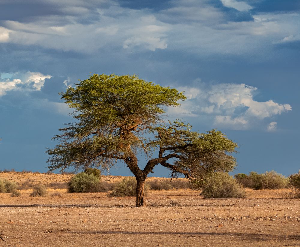 Photograph by Елена Захарова