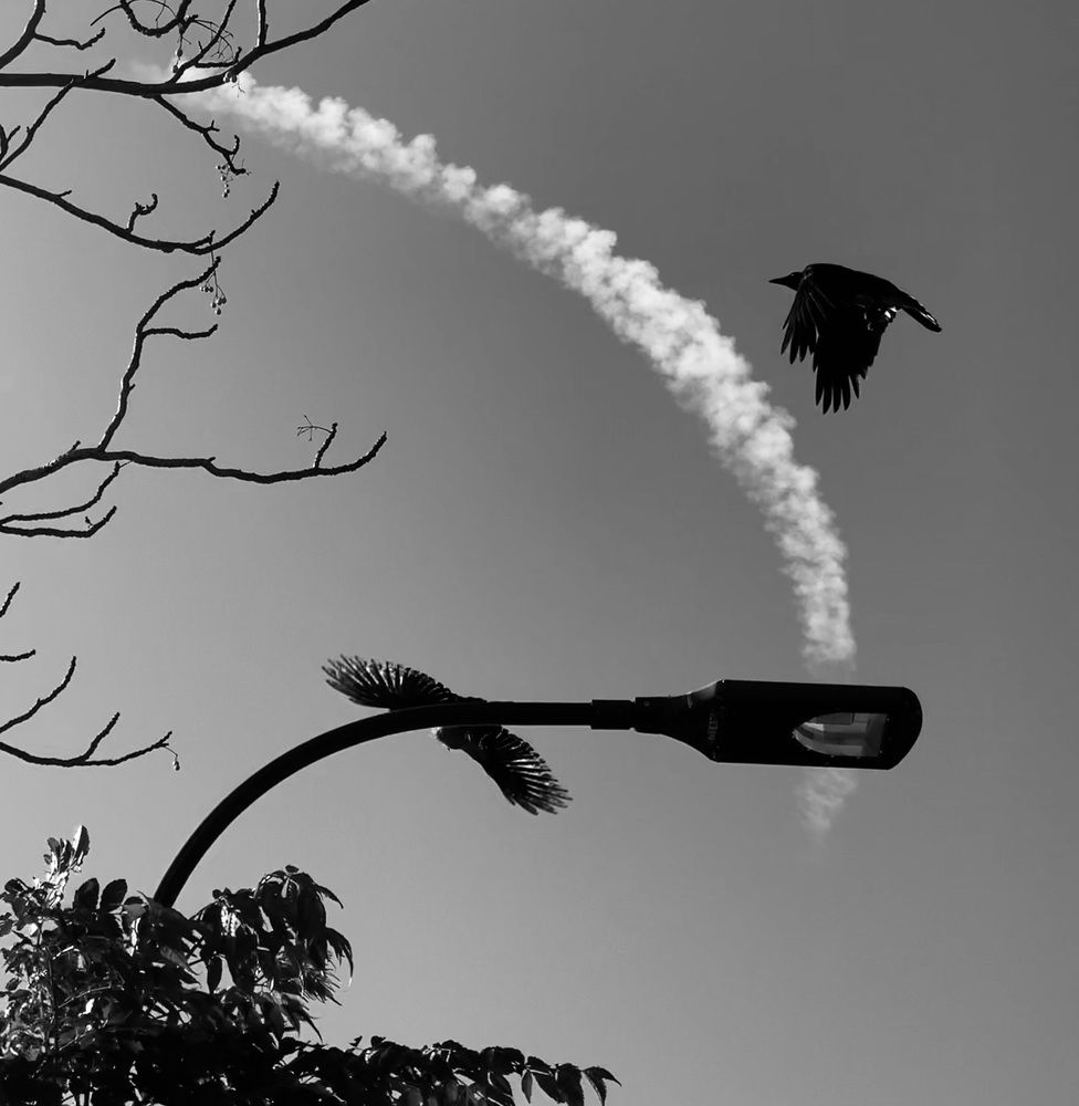 Photograph by Ksenia Sandlerski