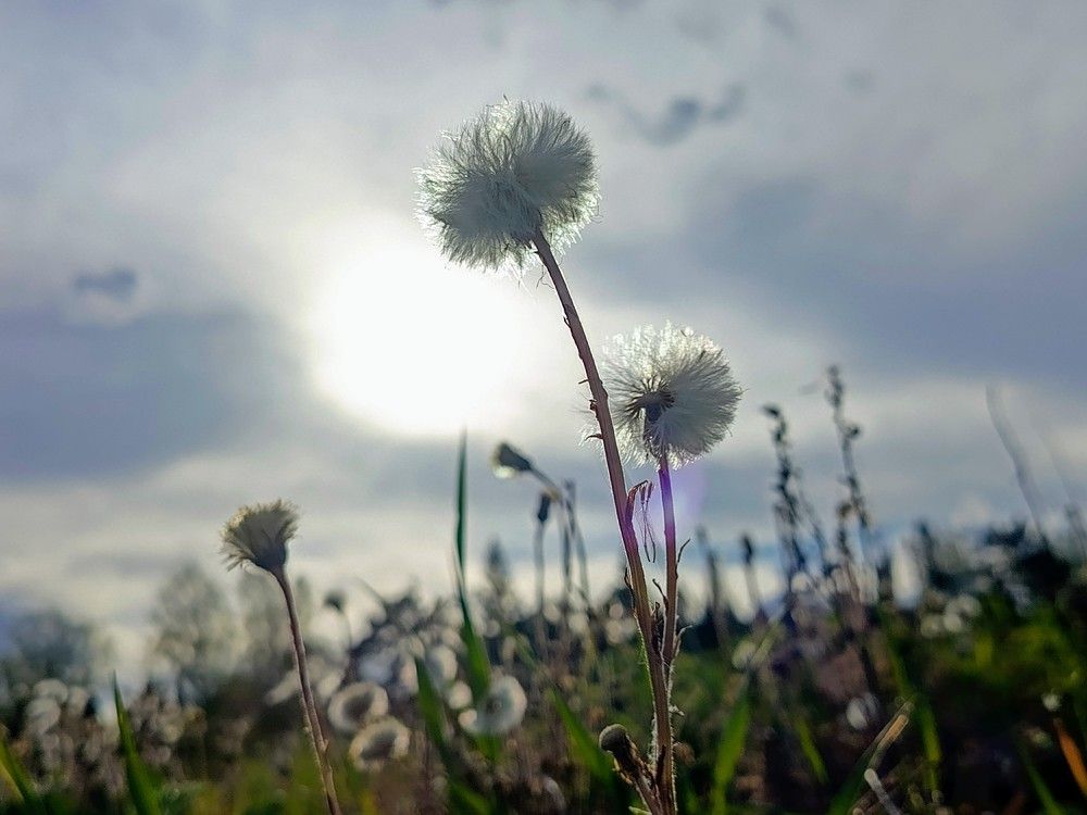 Photograph by Александра Ламанова