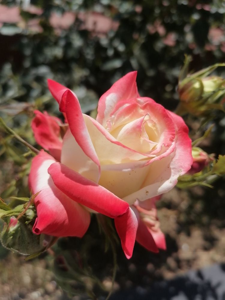 Photograph by Константин