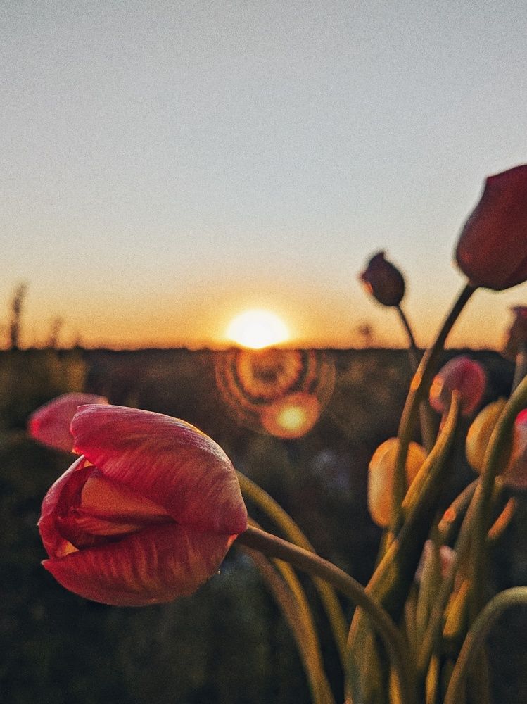 Завтра лето