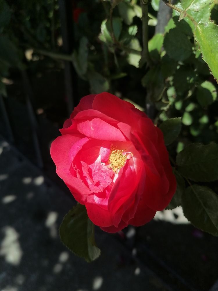 Photograph by Константин