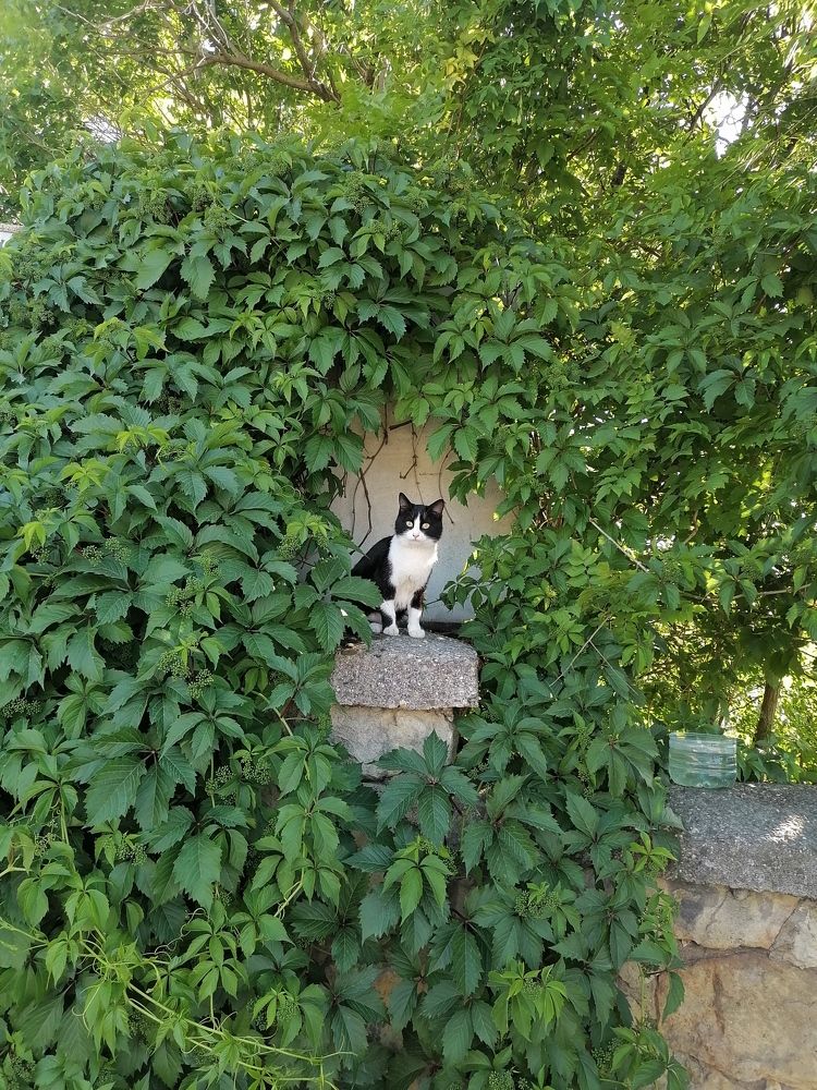 Photograph by Константин