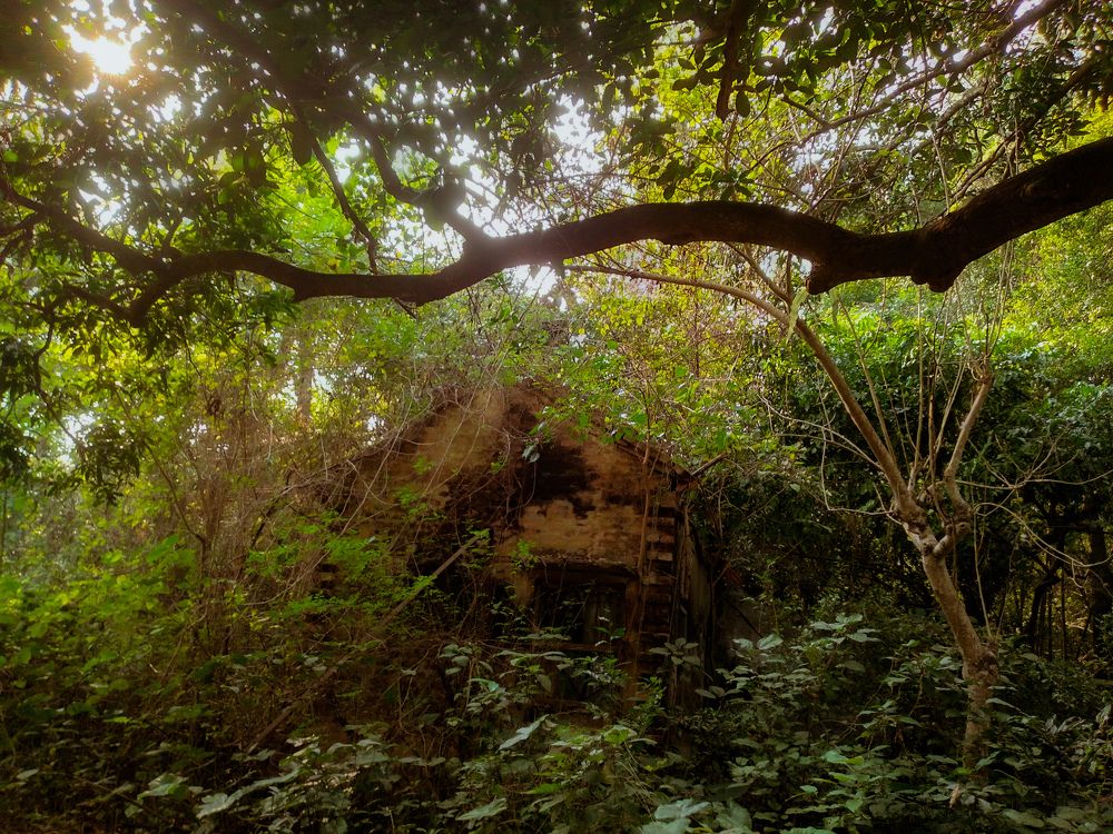 Photograph by Digantika Nath