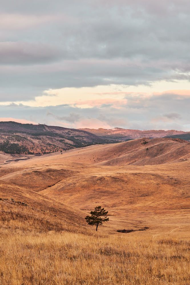 Photograph by Александр Мольков